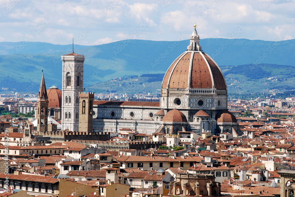 Florence, city of art, history and culture - Tuscany - Italy 115