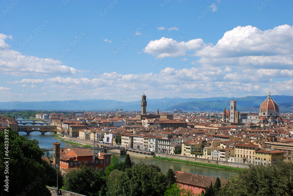 Florence, city of art, history and culture - Tuscany - Italy 111