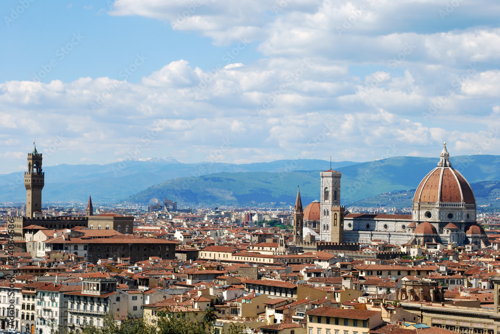 Florence, city of art, history and culture - Tuscany - Italy 102