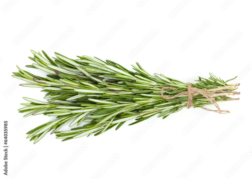 Fototapeta premium Rosemary bunch