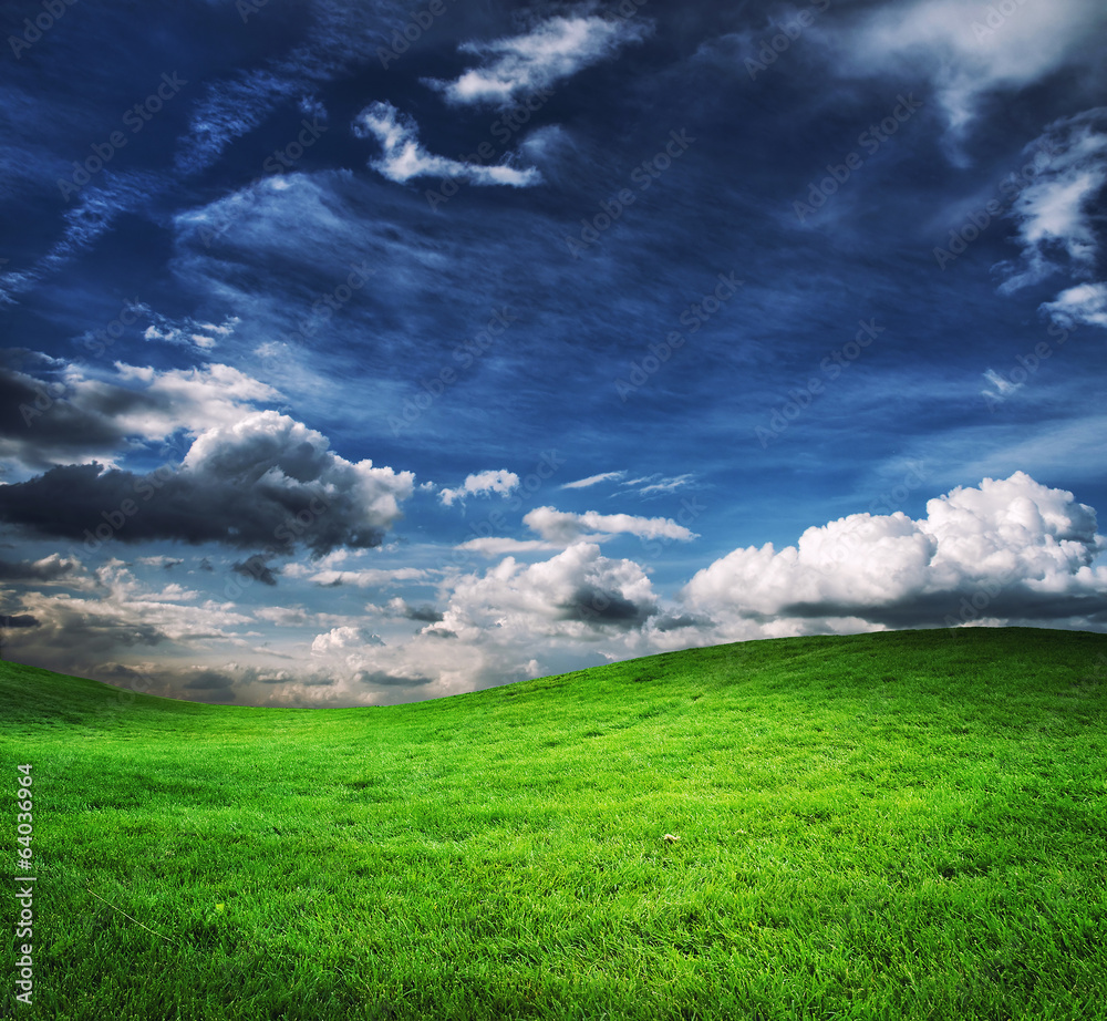 green field and blue sky