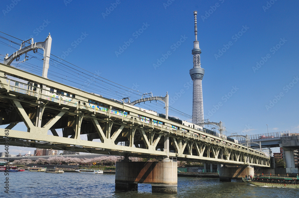 Fototapeta premium 電車とスカイツリー