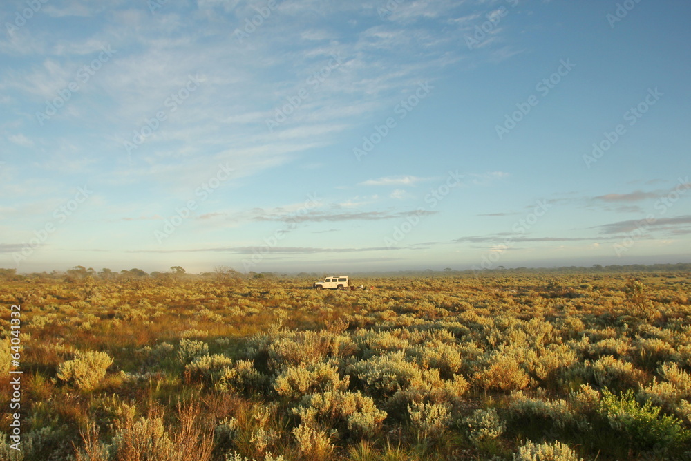 The Nullarbor Plain The Nullarbor Plain