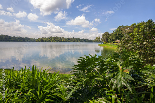 Upper Seletar Reservoir in Singapore photo