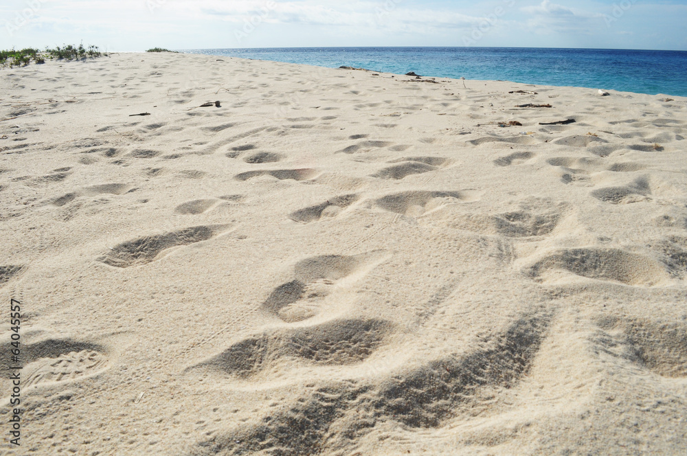 Whitesand and The Footprint Whitesand and The Footprint