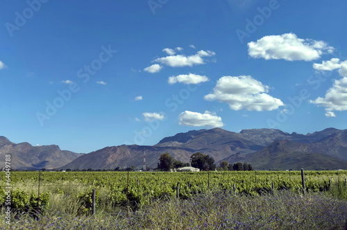 Theronsberg pass, South Africa photo