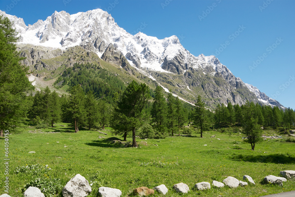 Monte Bianco dalla Val Ferret - obrazy, fototapety, plakaty 