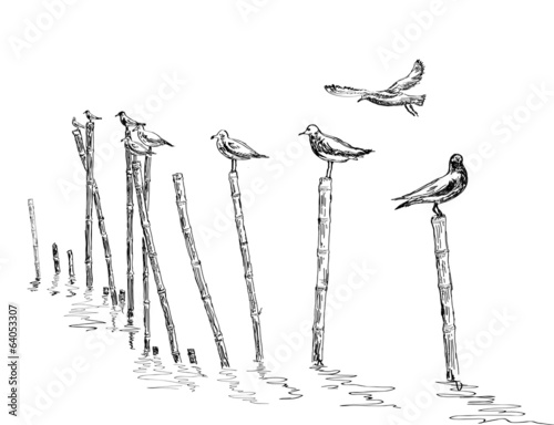 seagull standing on the pole