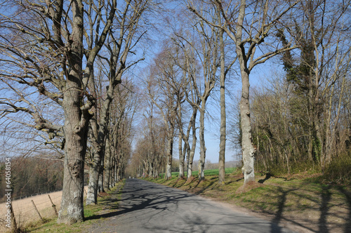 France, the village of Fontenay Saint Pere photo