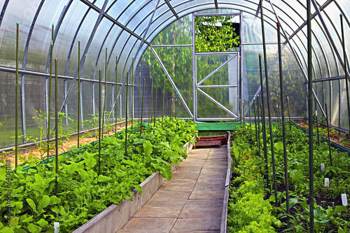 Vegetable greenhouses made of transparent polycarbonate