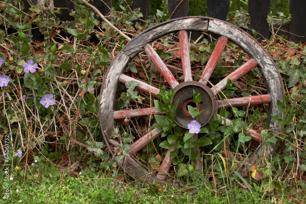 Wooden wheel