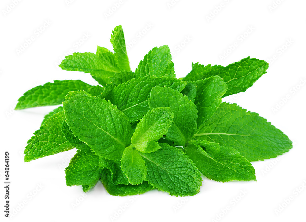 mint sheaf mint sheaf