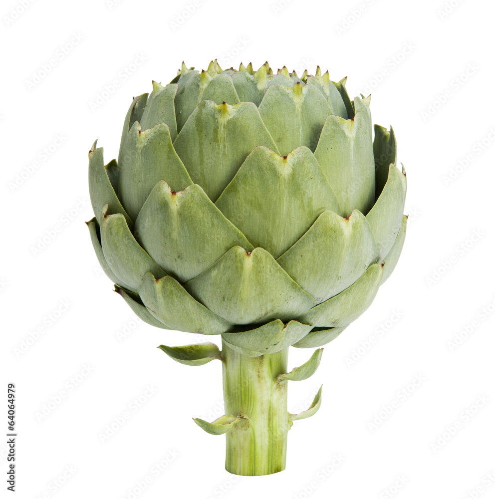 Fototapeta premium Artischocke