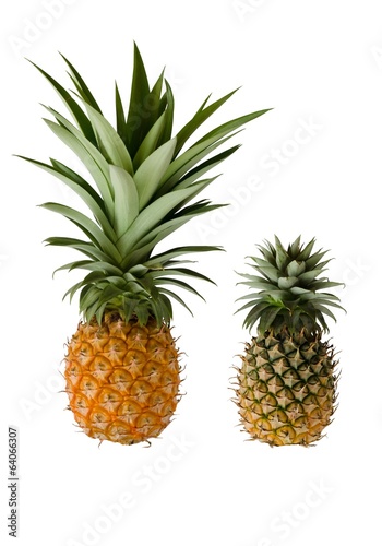 Pineapple  Tropical Fruit 