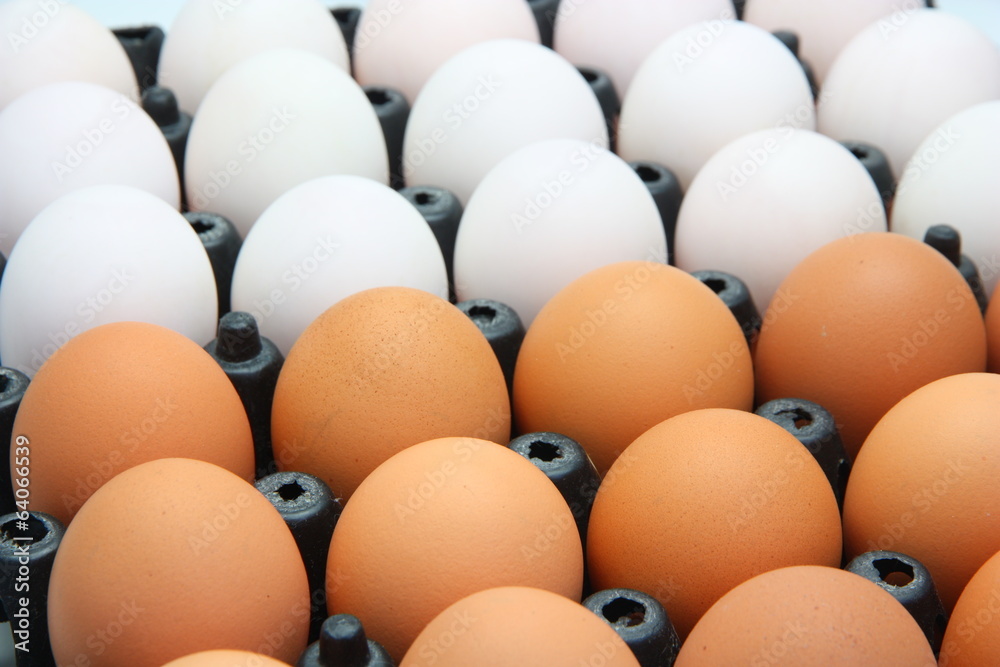 Chicken eggs and Duck eggs in the black container Chicken eggs and Duck eggs in the black container