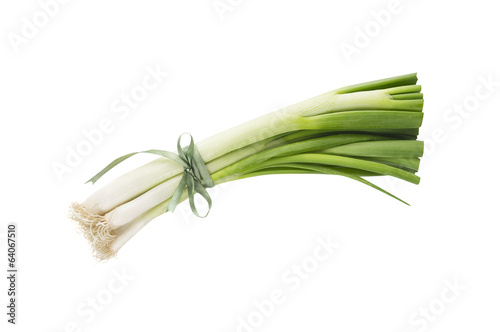 Green Spring onion tied with green ribbon  isolated