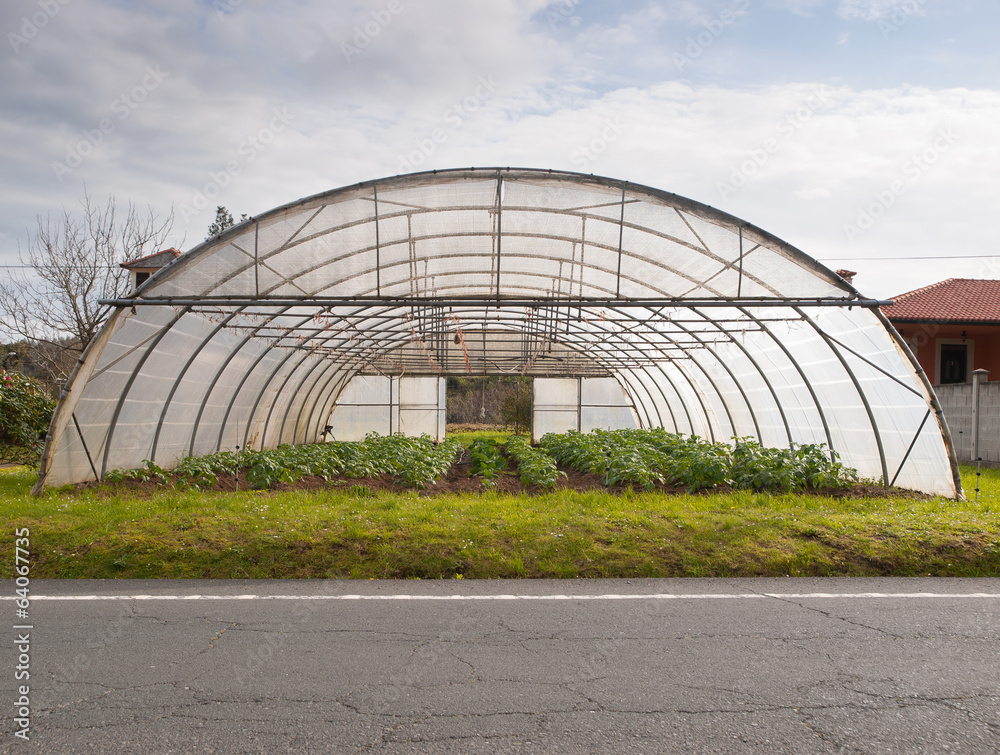 Obraz premium Greenhouse detail
