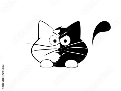Angry cat