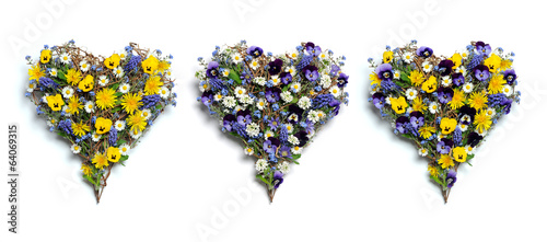 Fototapeta Naklejka Na Ścianę i Meble -  floral hearts