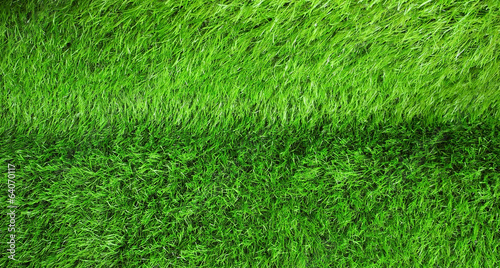 Green grass seamless texture