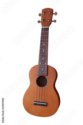The image of a hawaiian guitar photo