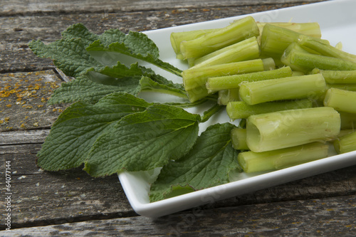 Fresh borage photo