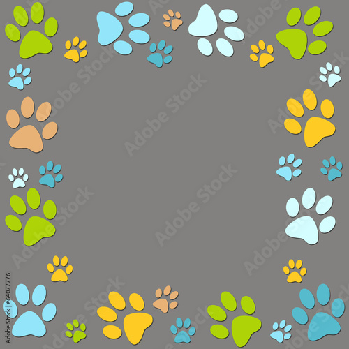 Animal paws photo