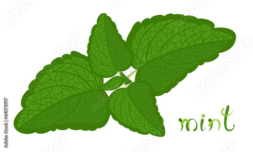 Green Mint