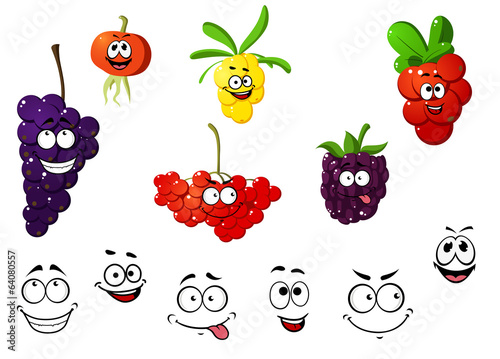 Fresh cartoon berries set