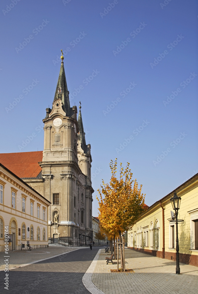 Church of St. Andrew in Komarno. Slovakia