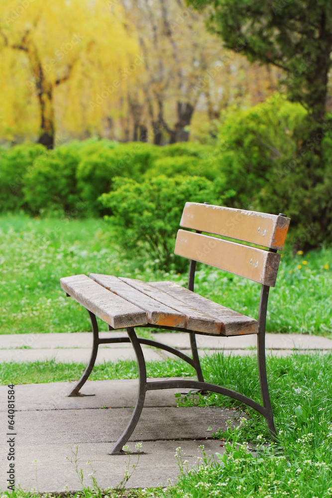 Lonely bench in the park