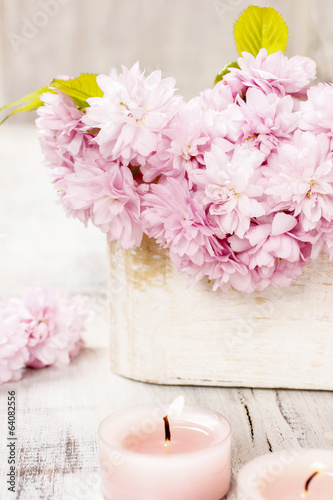 Bouquet of beautiful flowering almond  prunus triloba 