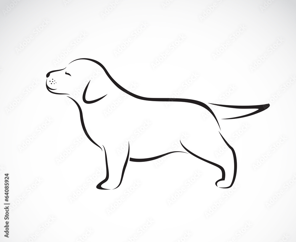 Fototapeta premium Vector image of labrador puppies