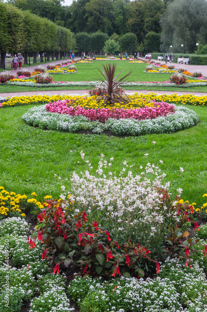 Beautiful flower bed in park
