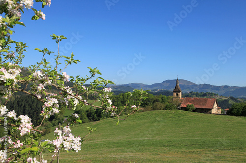 Valokuva primavera país vasco zerain 3896-f14