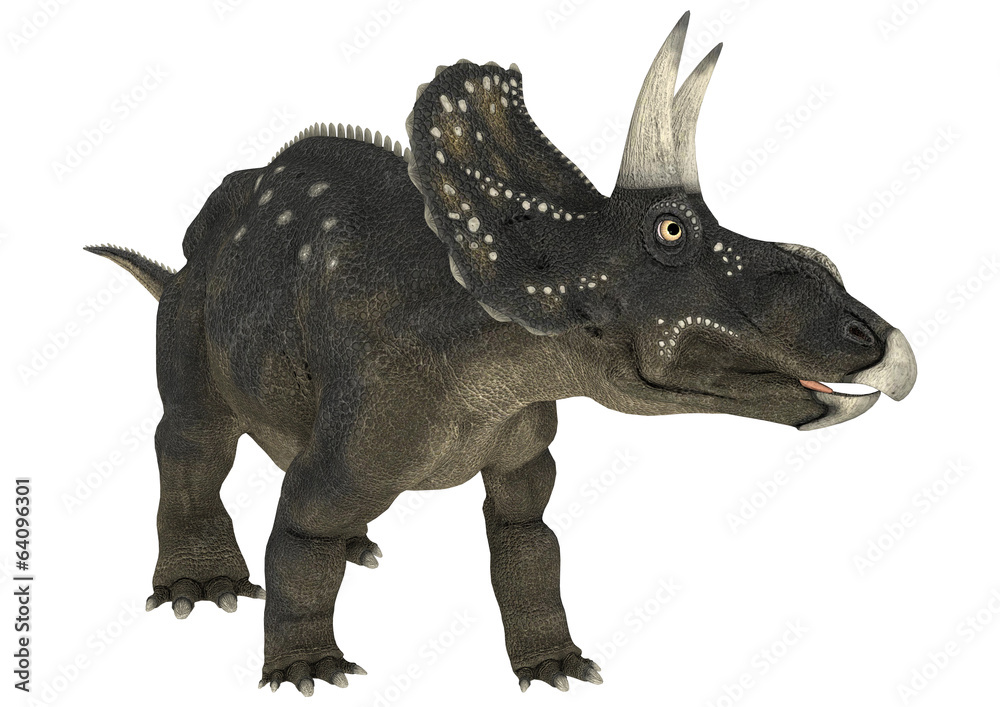 Fototapeta premium Dinosaur Diceratops