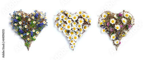 Fototapeta Naklejka Na Ścianę i Meble -  floral hearts