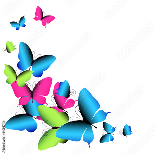 butterflies design
