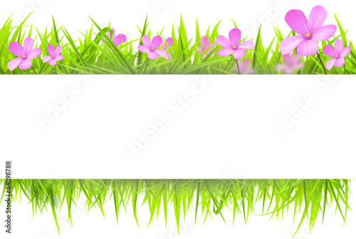 Primavera Banner