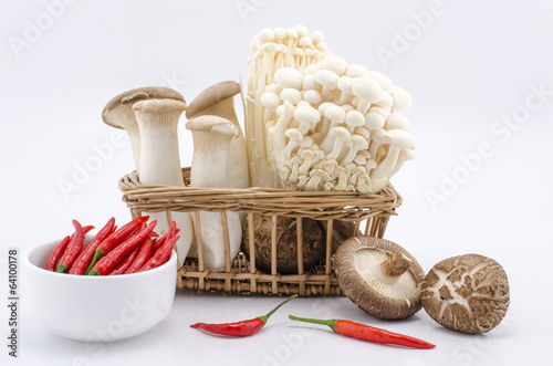 Many species of mushrooms, peppers photo