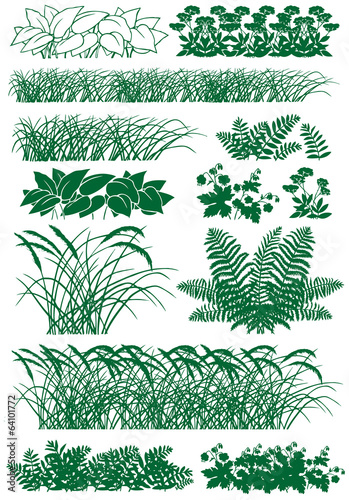grass