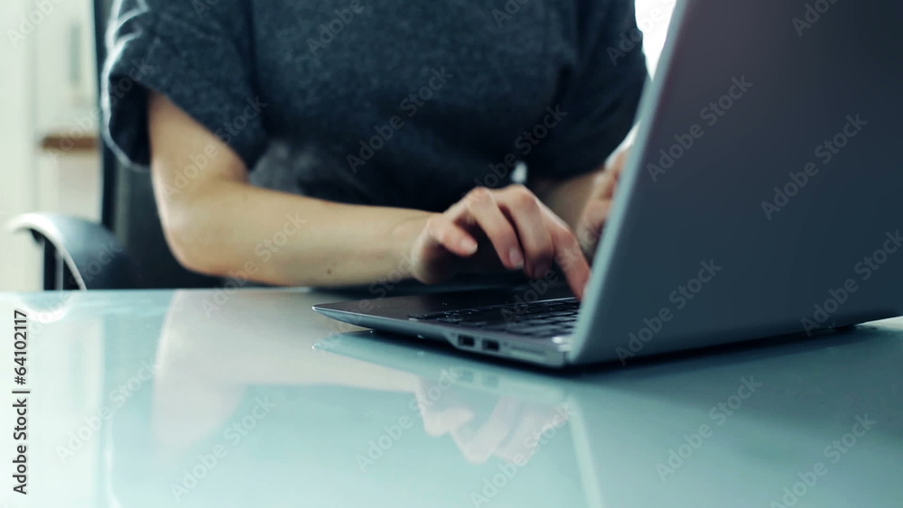 Businesswoman working on modern laptop in the office Businesswoman working on modern laptop in the office
