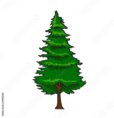 Pine Tree in cartoon style isolated on white background