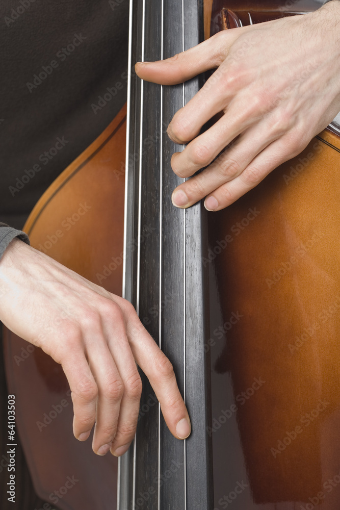 Musician On Double Bass