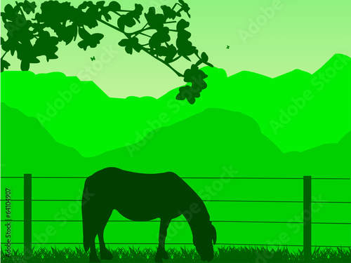 Horse on grassland in spring on mountain