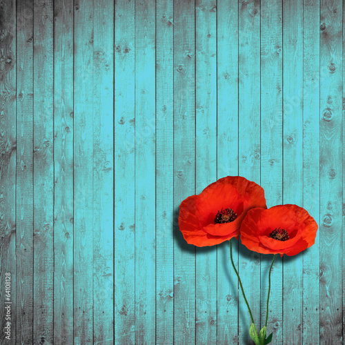 Fototapeta Naklejka Na Ścianę i Meble -  flower poppies and turquoise wood background