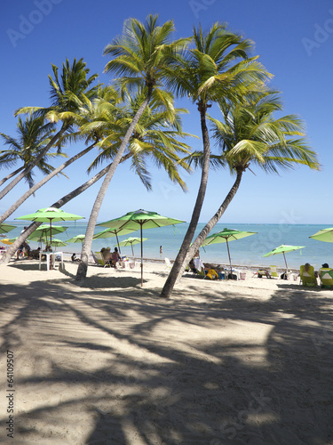 Tropical Brazilian Beach with Palm Trees