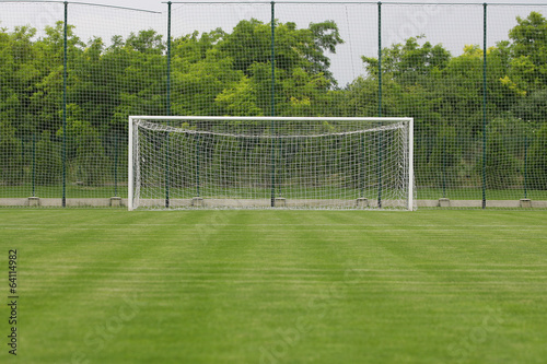 Goal at the stadium Soccer field with white lines © Nebojsa
