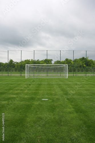 Goal at the stadium Soccer field with white lines