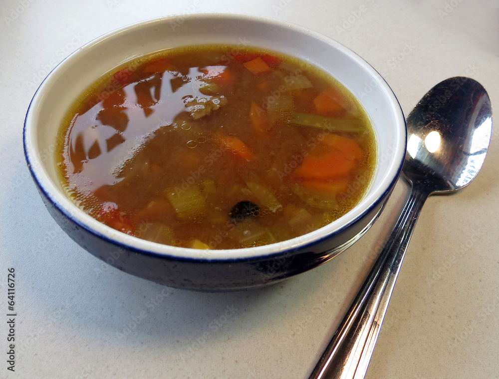 Vegetable Beef Soup